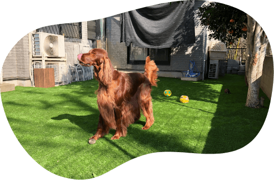 施工事例イメージ